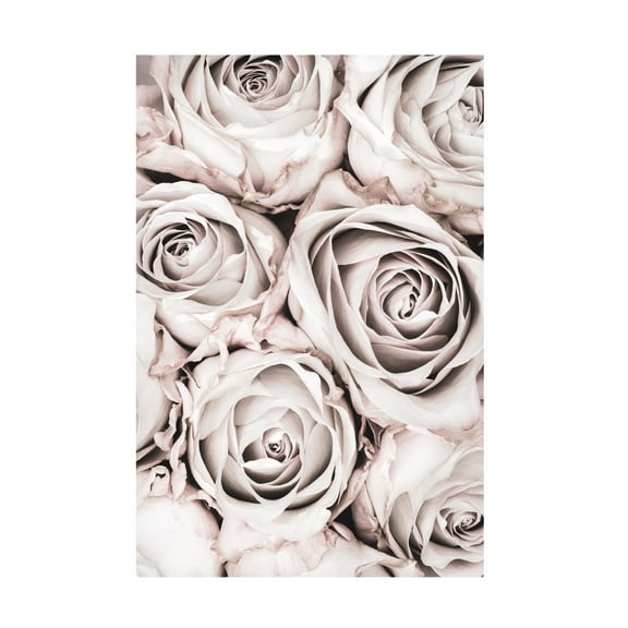 1x Studio III 'Grey Roses No 01' Canvas Art