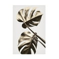 thumbnail image 1 of 1x Studio III 'Monstera Gold 08' Canvas Art, 1 of 4