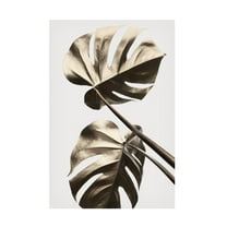 1x Studio III 'Monstera Gold 08' Canvas Art