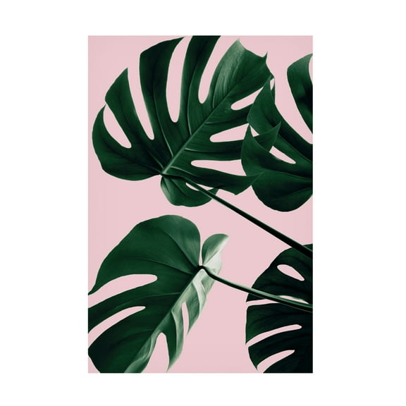 1x Studio III 'Monstera Pink No 08' Canvas Art