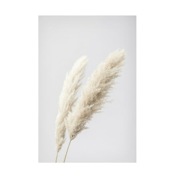 1x Studio III 'Pampas Grass Grey 13' Canvas Art
