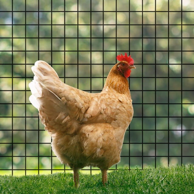 PVC Coated 1x1 inch Hardware Cloth, Black Chicken Wire, Welded Fence ...