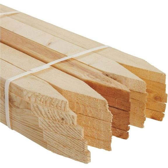 1x2x48 Grade/Srvey Stake