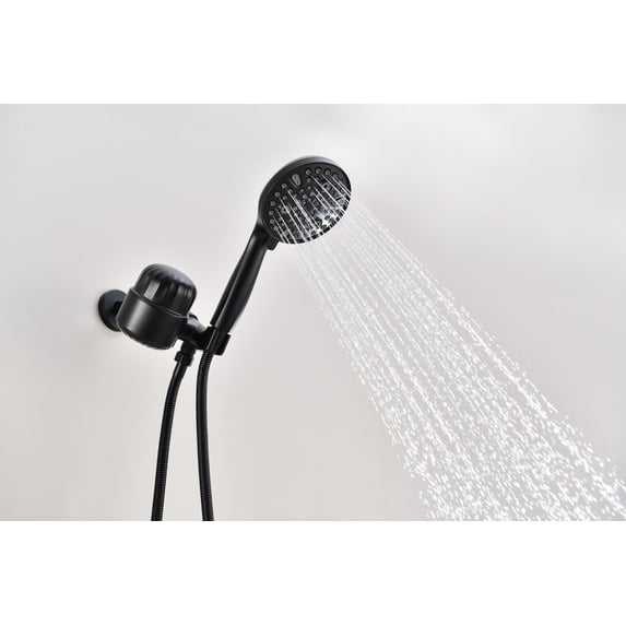 2.0 GPM Handheld Shower Head