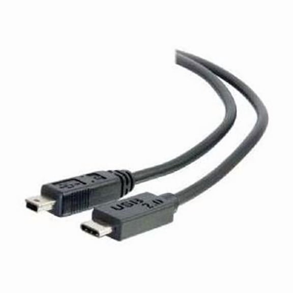 2.0 USB C to USB Mini B Cable M - M Black USB