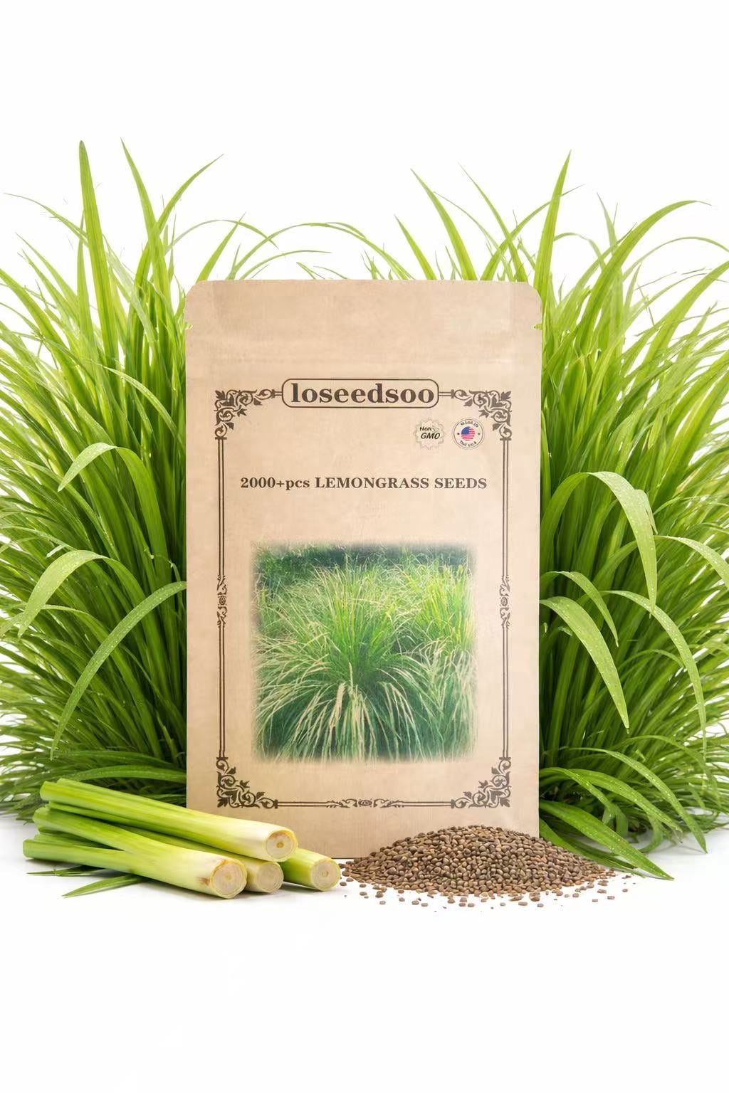 plants for tiny terrariums PlantPico Tiny World | Low-Maintenance Living Terrarium
