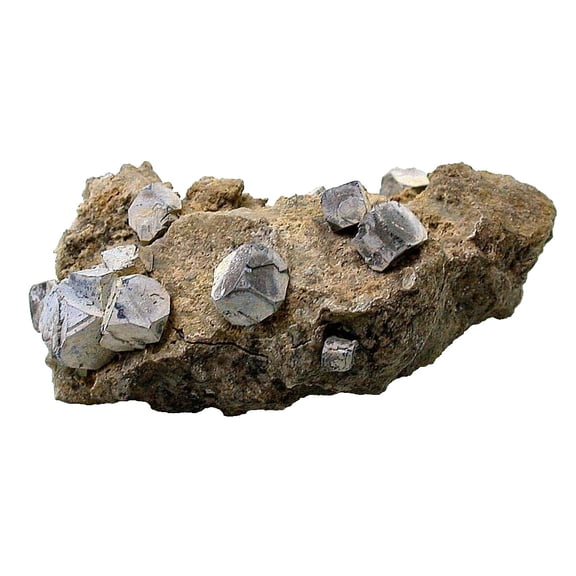 2 1/10 x 1 1/5 x 3/4 Inch Galena Tri State Joplin Southwest Missouri Specimen