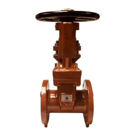 2-1/2 DI Fl X Fl Gate Valve OS&Y AWWA, Ductile Iron Gate Valves, Valves