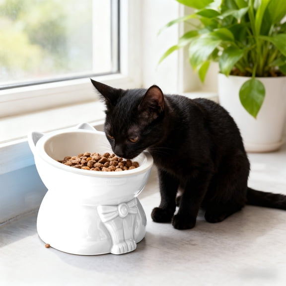 2 in 1 Anti-Slip Tilted Dog Bowl, Ceramic Elevated Cat Bowls for Optimal Spine Protection, Slow Feeder Pet Bowl in Lake Blue, Perfect Raised Cat Feeders