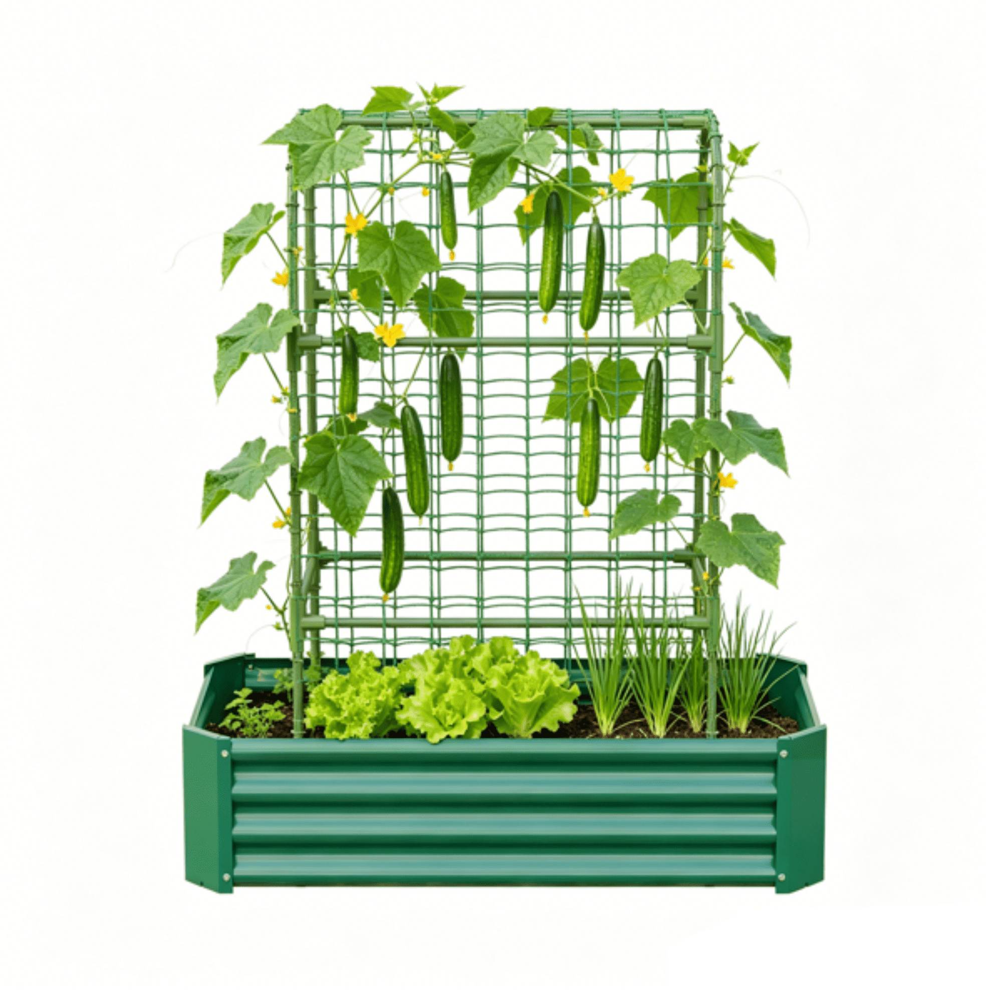 2 in 1 Raised Garden Bed with Trellis, 59" Tall Arch Planter Box for Climbing Plants, Outdoor Galvanized Metal Gardening Bed for Vegetables, Fruits, Flowers (Green, 4x2x1 Ft)