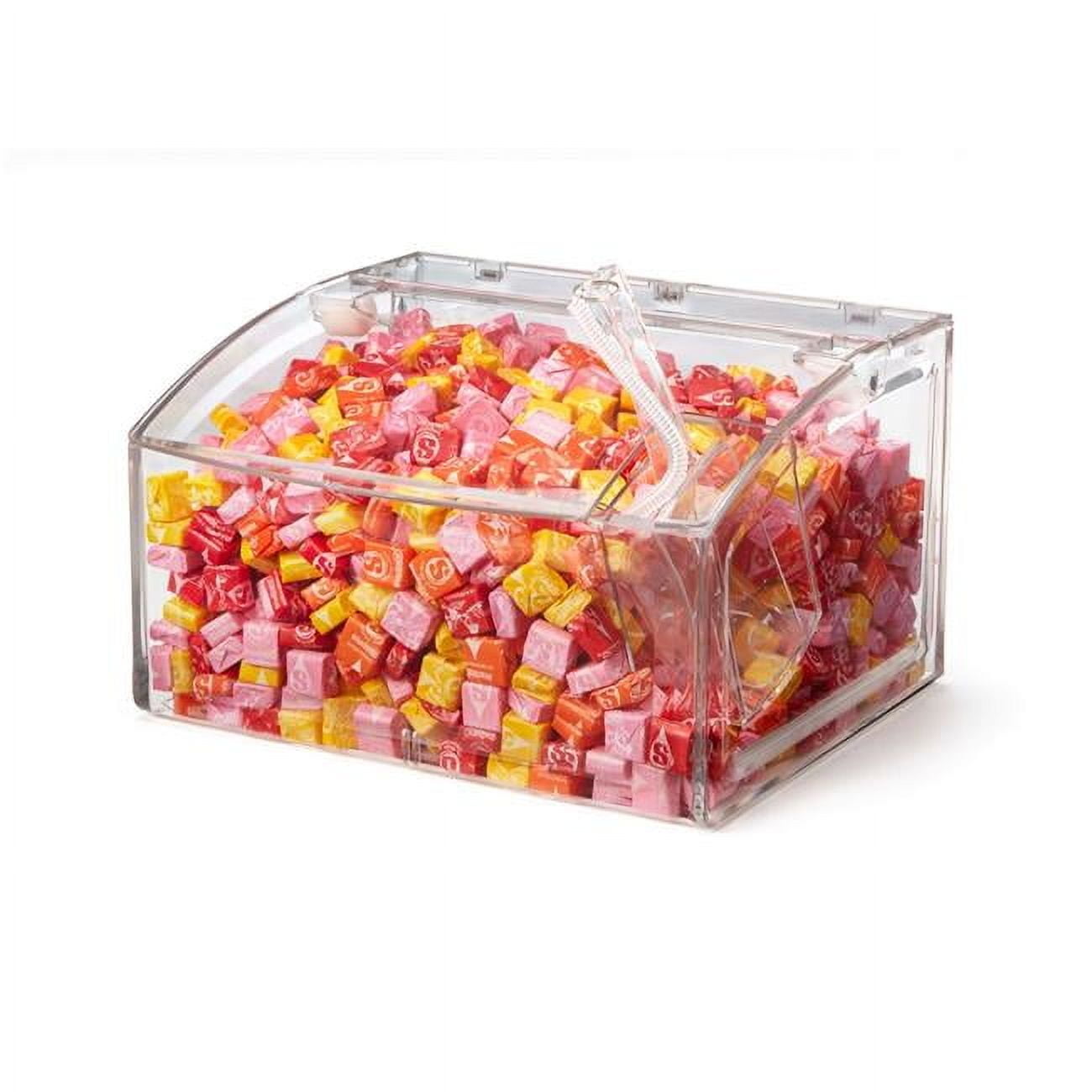 Clear Rectangular Acrylic Flip Top Bulk Storage Bin