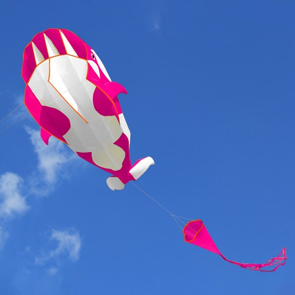 A 2.15-Meter Three-Dimensional Soft Kite in The Shape of an Orca, Large in Size, Suitable for Flying And Entertainment in Outdoor Places Like Beaches And Grasslands.