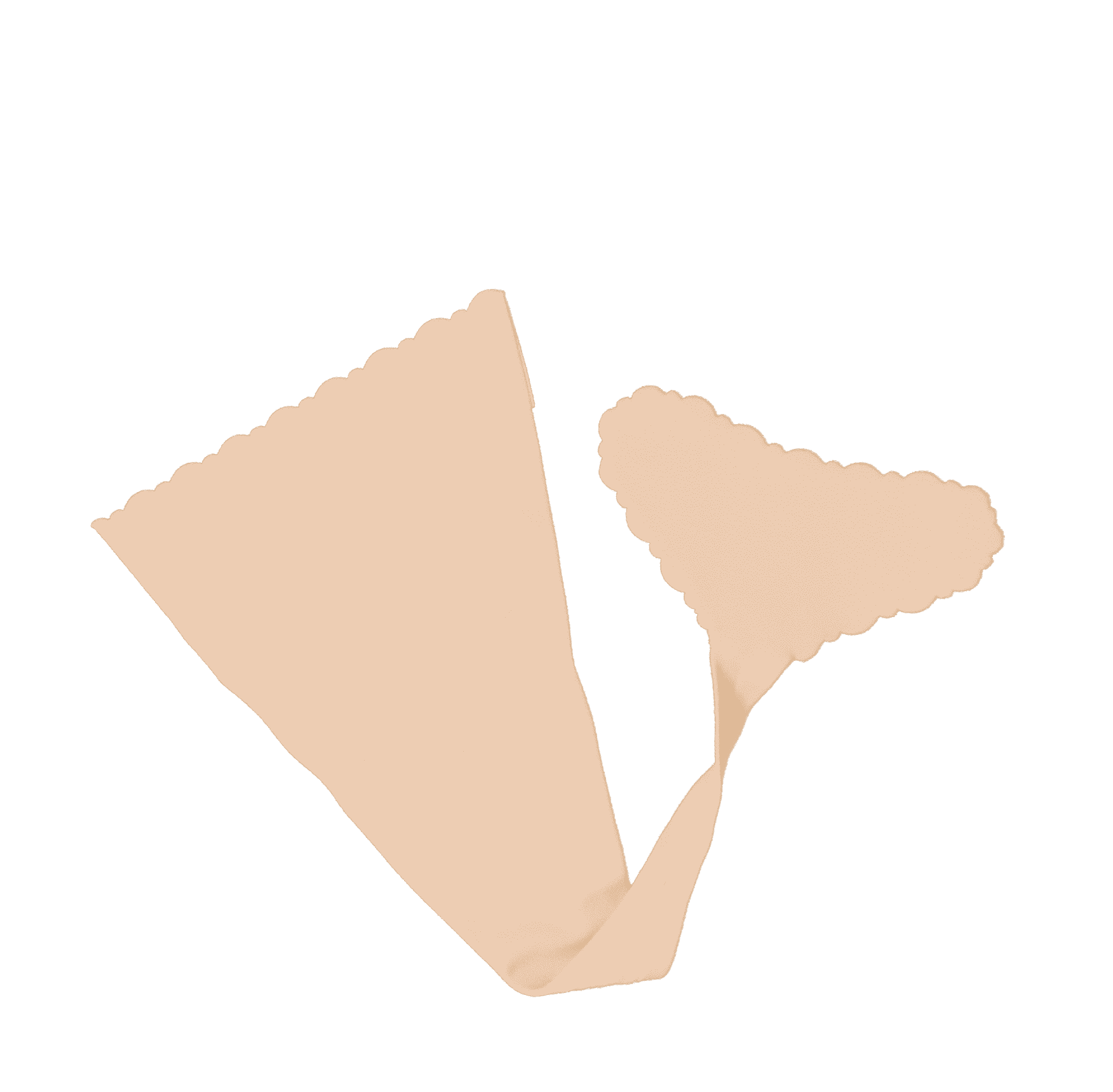 2 ~ 2 Packs Hush Strapless Panty Nude & Black M/L Seamless, Washable & Reusable No Show Hot Sexy Panty Lines (4 Pantys!)