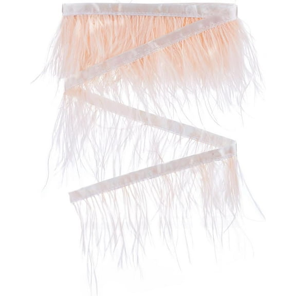 2.2 Yards Feather Trim Fringe Ostrich Feather Womens Clothing Strand Costume Accessories 3-4 Inch Natural Feathers Fringe Trims Ribbon for Dress Sewing Wedding Decoration Champagne Mixed Color