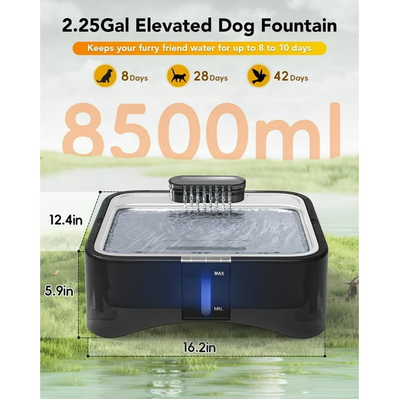 2.25Gal Elevated Dog Water Fountain