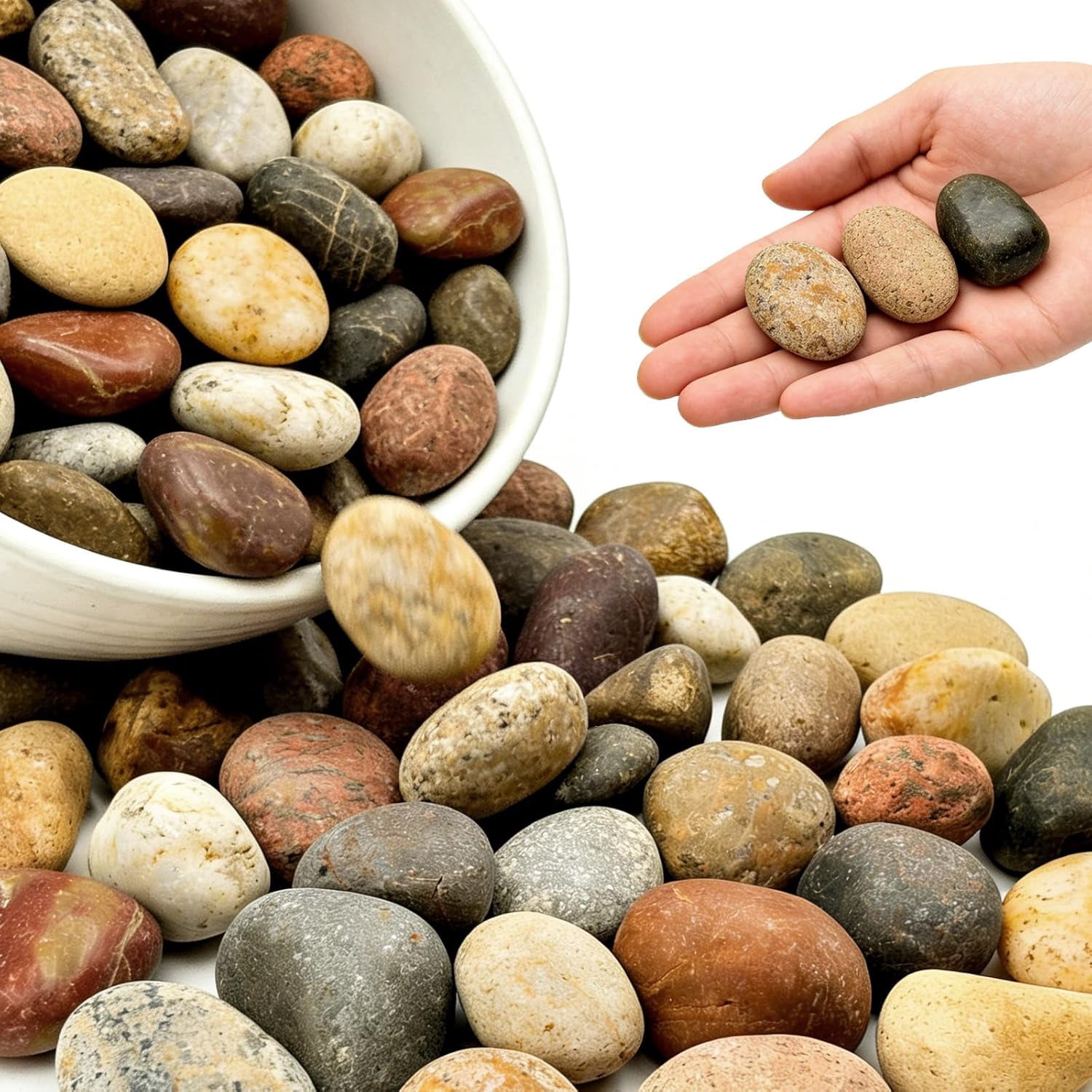 2-3 Inch Mixed Round Pebbles, Smooth River Rocks for Rock Painting ...
