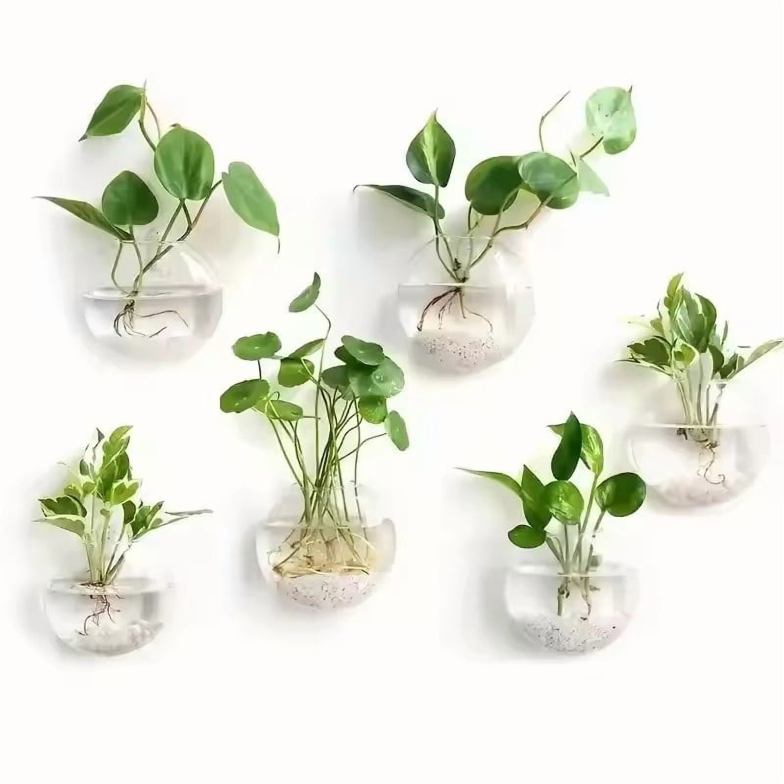 2/4/6/8 Pack Wall Hanging Glass Terrarium - Self-Watering Hydroponic Planter for Home Office Decor, Handmade Round Crystal Vase
