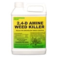 thumbnail image 1 of 2,4-D Amine Selective Post-Emergent Herbicide - Eliminates Broadleaf Weed and Brush - 32 fl oz Bottle by Southern Ag, 1 of 2