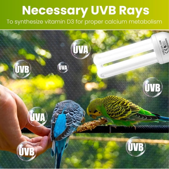2.4% UVB Bulb for Birds, 20W Compact Fluorescent Light Bulb UVA UVB Light Bulbs E26 for Captive Birds and Reptiles