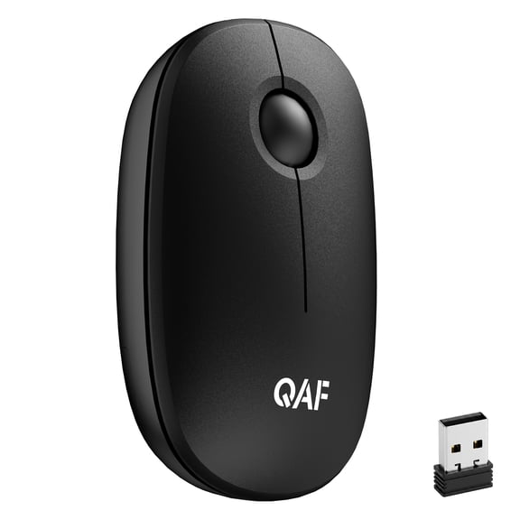 2.4G Wireless Slim Mouse, Quiet Clicks Portable Computer Mouse with USB Nano Receiver, Ultra-Compact Lightweight Cordless Mice, Plug & Play Compatible with Laptop Chromebook PC Tablet Windows Mac OS