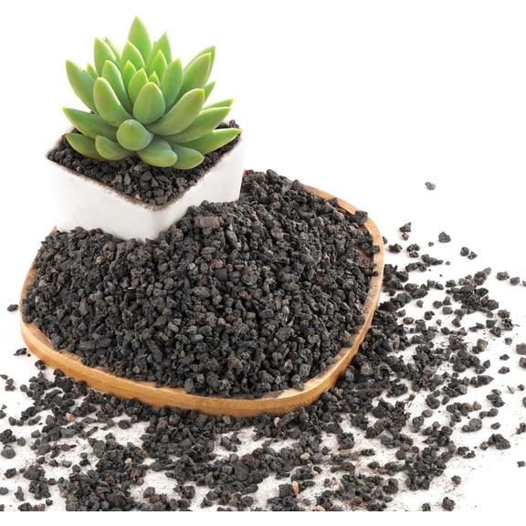 2.4LB Black Lava Rocks for Plants, Volcanic Rock Horticultural Lava Rock Soil for Landscaping Plants Drainage, Small Lava Rock Gravel for Succulents, Bonsai, Vase Fillers, Top Dressing