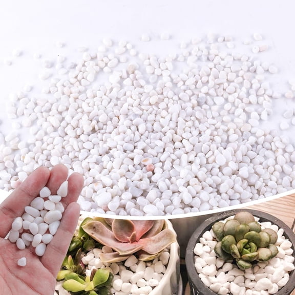 2.4lb 1/4" Small White Rocks for Plants,Potting,Succulents Aquarium Fish Tank Garden Vases Decorative Pebbles Gravel Rocks Stones