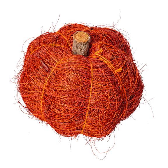 2.5-3" Autumn Coir Pumpkin 24/bag
