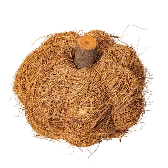 2.5-3" Natural Coir Pumpkin 24/bag