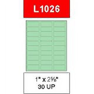 2 5/8" x 1" Pastel Green Labels for Laser Printers, Inkjet Printers or Copier Machines. (GL1026PG)