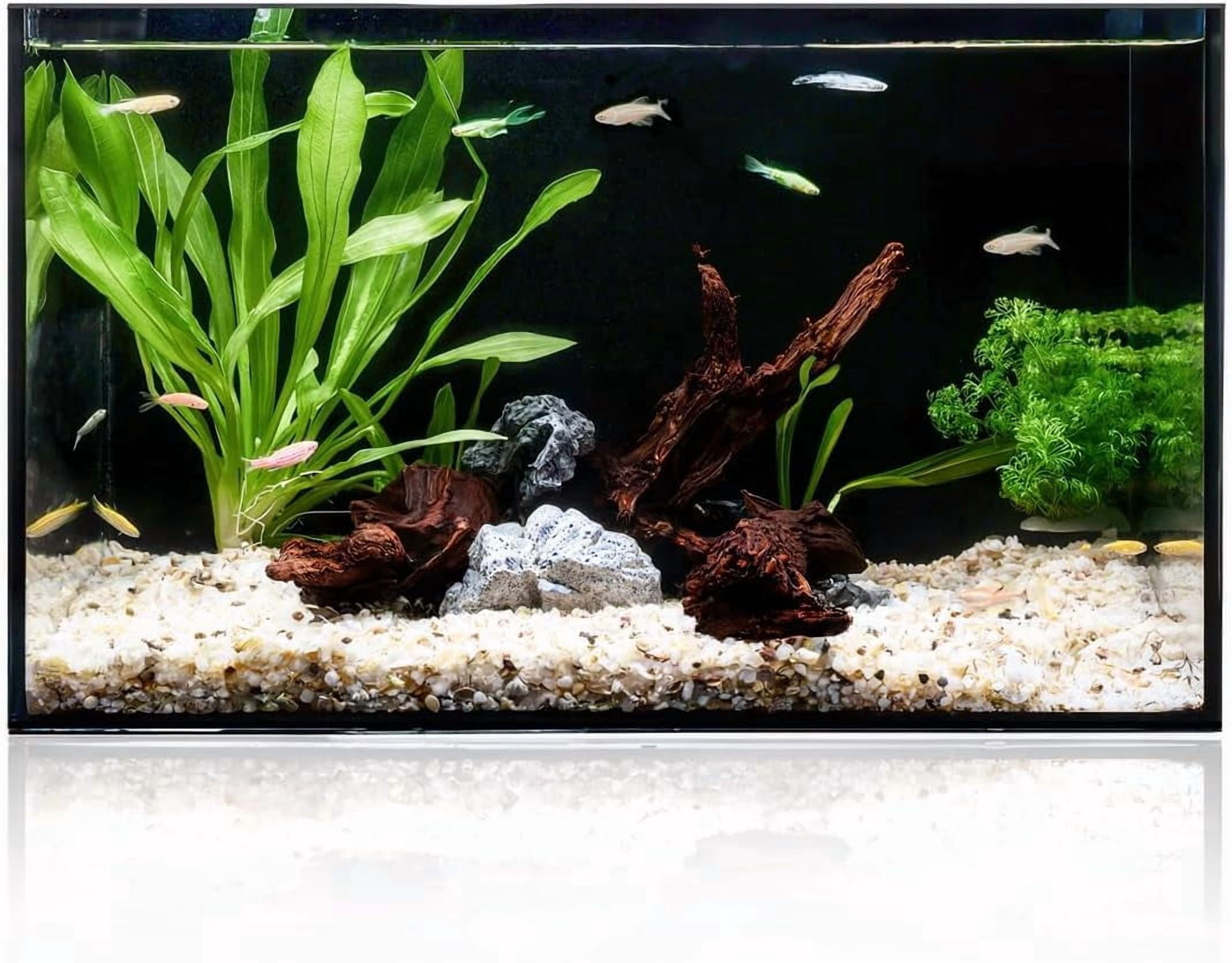 2.5 Gallon Clear Glass Aquarium for Betta Fish, Goldfish, Snails, Shrimp and Live Aquatic Plants