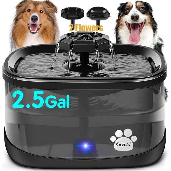 2.5 Gallon Dog and Cat Water Fountain with 3 Flow Modes, 2 Flower Spouts, 7 Inch Filter, Super Filtration, Quiet BPA-Free Pump, Black