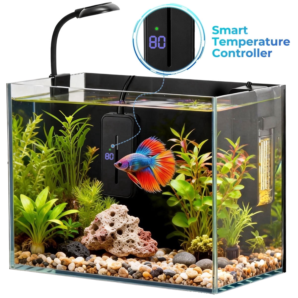 2.5 Gallon Nano Nature Aquarium Kit with Smart Temperature Controller ...