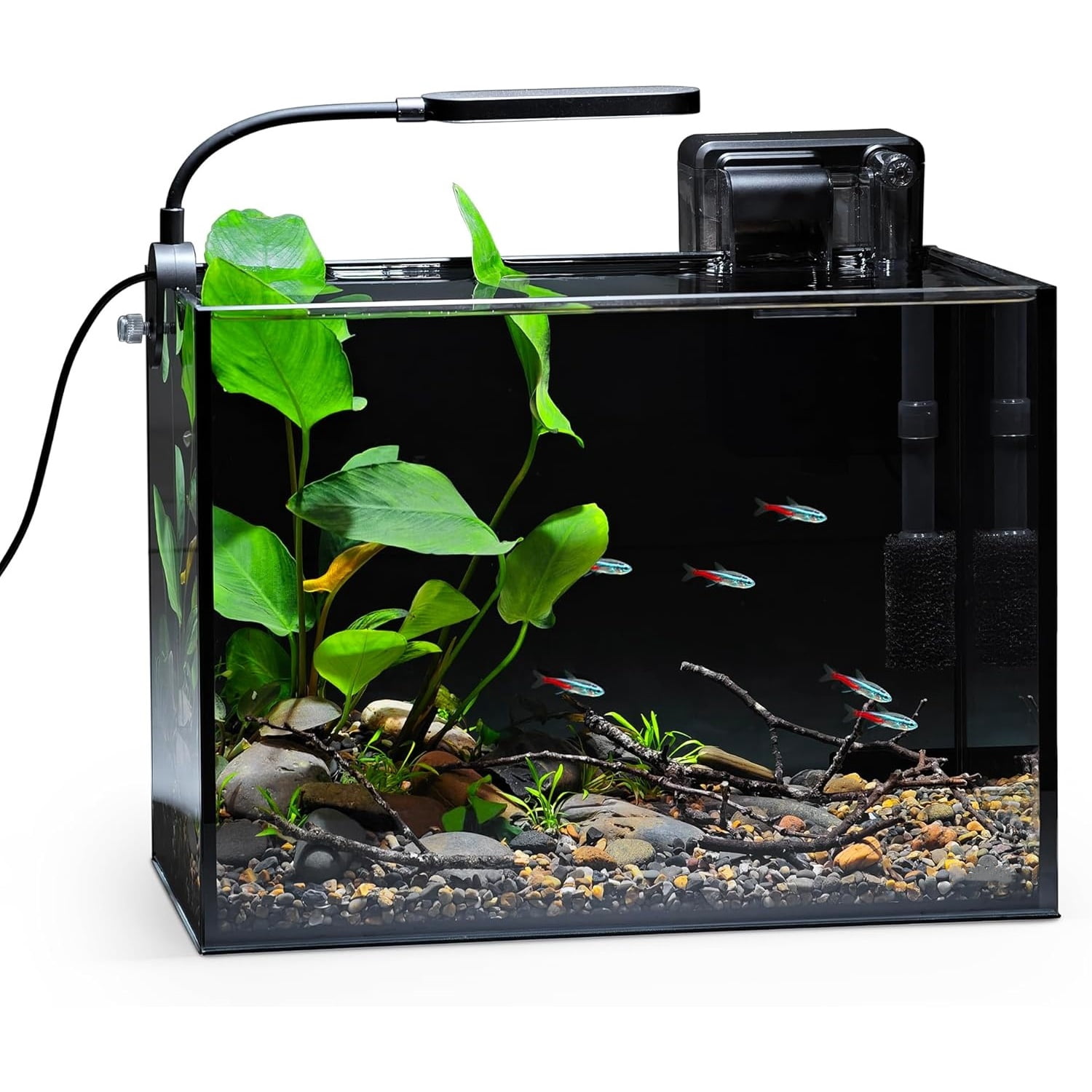 2.5 Gallon Nano Nature Aquarium Kit, Ultra-Clear Rimless Desktop Fish Tank with Light, Filter, Gravel and Rock, Perfect for Small Fish, Shrimp, or Betta, Complete Version, Black