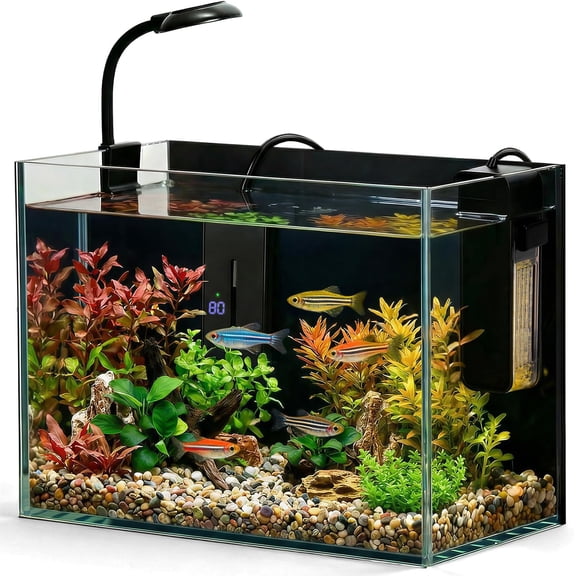 2.5 Gallon Small Fish Tank – Nano Aquarium with Heater, Ultra-Clear Glass Desktop Betta Habitat with LED Light, Filter, Lid, Gravel & Rocks for Shrimp, Snails & Live Plants