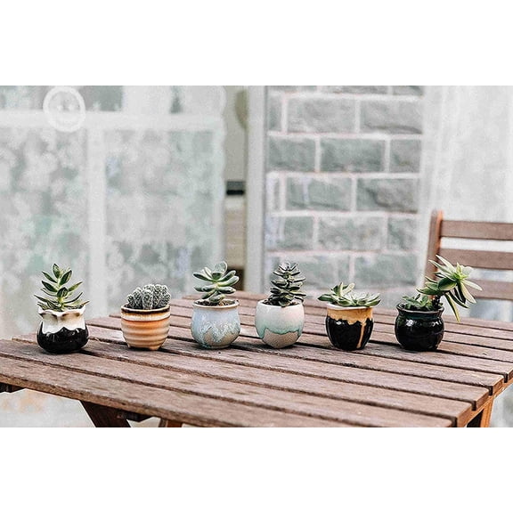 2.5 Inch Mini Ceramic Succulent Planter Pots with Drainage Hole Set of 24, Ice Crack and Glazed Tiny Cactus Containers
