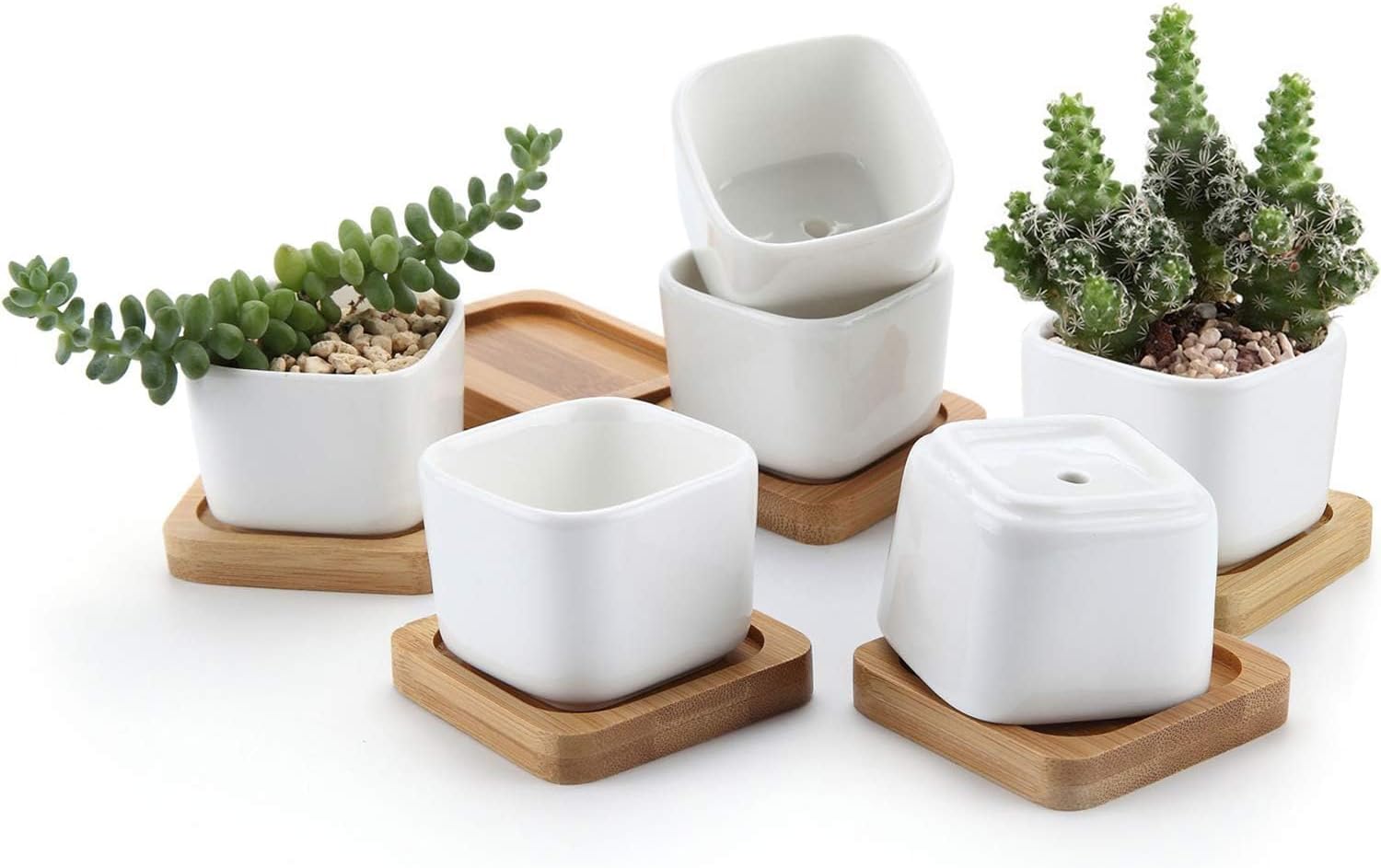 2.5 Inch Mini White Succulent Planter Pots with Bamboo Tray Round Set ...