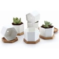 thumbnail image 1 of 2.5 Inch Mini White Succulent Planter Pots with Bamboo Tray Round Set of 6, Tiny Ceramic Succulent Air Plant Flower Pots Cactus Faux Plants Containers, Gifts for Plant Lover, Home and Office Decor, 1 of 5