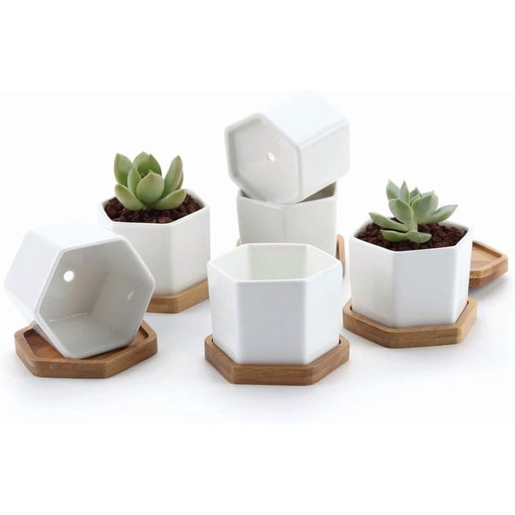 2.5 Inch Mini White Succulent Planter Pots with Bamboo Tray Round Set of 6, Tiny Ceramic Succulent Air Plant Flower Pots Cactus Faux Plants Containers, Gifts for Plant Lover, Home and Office Decor