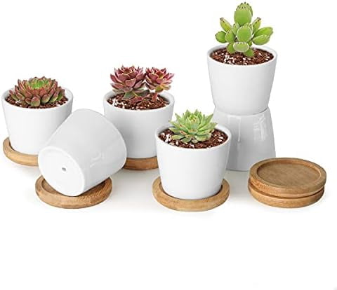 2.5 Inch Mini White Succulent Planter Pots with Bamboo Tray Round Set ...