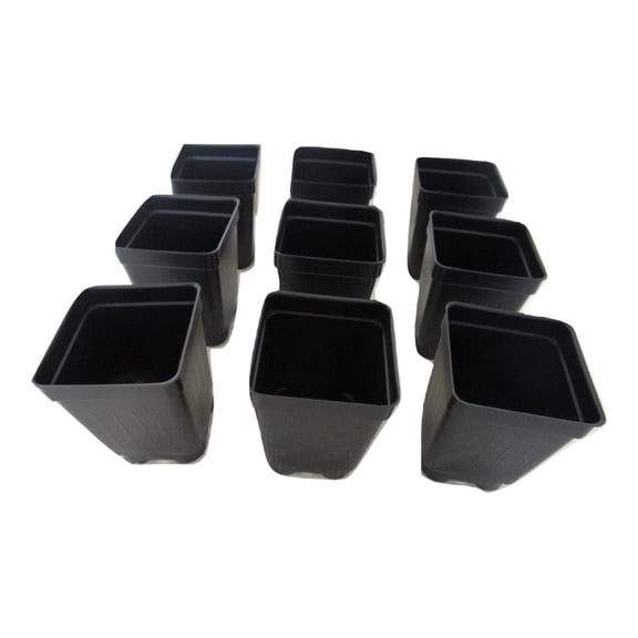 2.5" Square Extra Deep Landmark Nursery Pots - Press Fit (800)