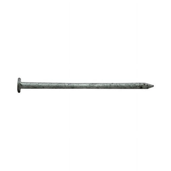 2.5 in. 8D 5 lbs Common Nail