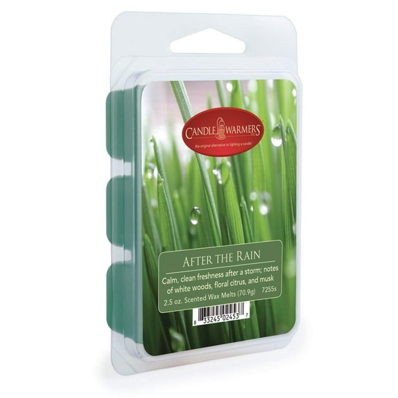 Candle Warmers Wax Melt Spiced Apple 2.5 oz (Pack of 2)