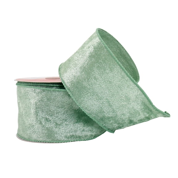 Celebrate it Christmas Green Mesh Ribbon 2.5inx20ft