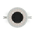 thumbnail image 1 of Clara Pucci 14K White/Rose Gold Solid Gold Onyx Halo Anniversary Ring for Women - 2.6 cttw Round Cut, 1 of 8