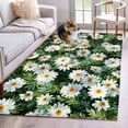 thumbnail image 1 of 2.7'x5' Area Rugs, Spring Daisy Indoor Outdoor Area Rug for Living Room Bedroom, Country Flowers Green Leaves Rustic Botanical Washable Bathroom Rugs Kitchen Floor Carpet Mats Home Decor Aesthetic, 1 of 8
