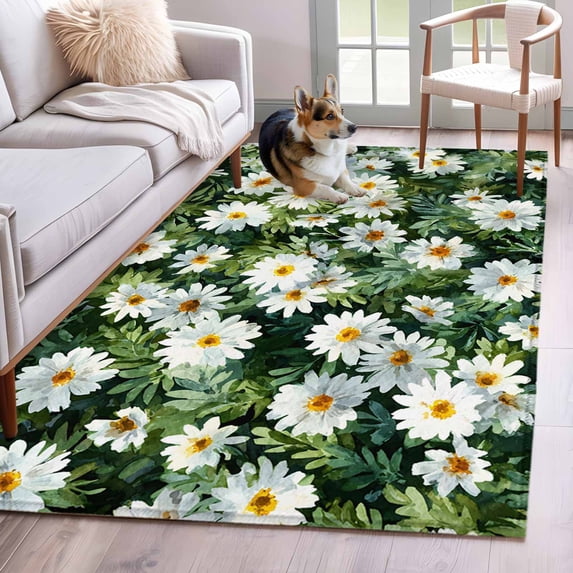 2.7'x5' Area Rugs, Spring Daisy Indoor Outdoor Area Rug for Living Room Bedroom, Country Flowers Green Leaves Rustic Botanical Washable Bathroom Rugs Kitchen Floor Carpet Mats Home Decor Aesthetic