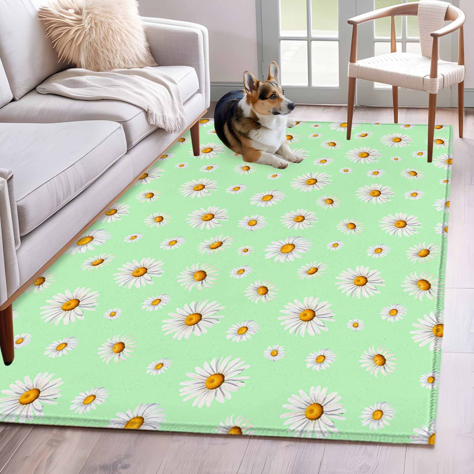 2.7'x5' Area Rugs, Spring Floral Daisy Indoor Outdoor Area Rug for ...