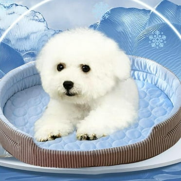 2.75*14.96*19.68 Inch Dog Bed for Small Dogs, Waterproof Memory Foam Small Dog Beds with Sides, Non-Slip Bottom and Egg-Crate Foam Medium Dog Couch Bed with Washable Removable Cover