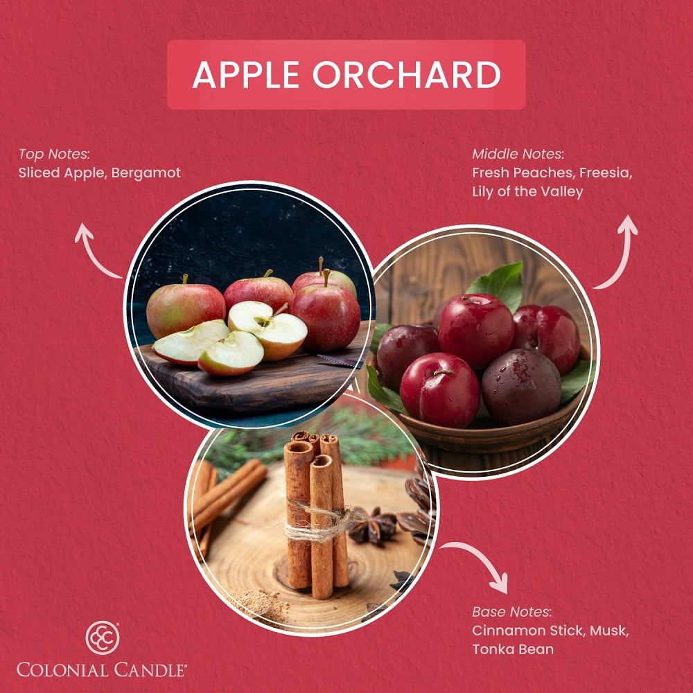 2.75oz Wax Melt Apple Orchard