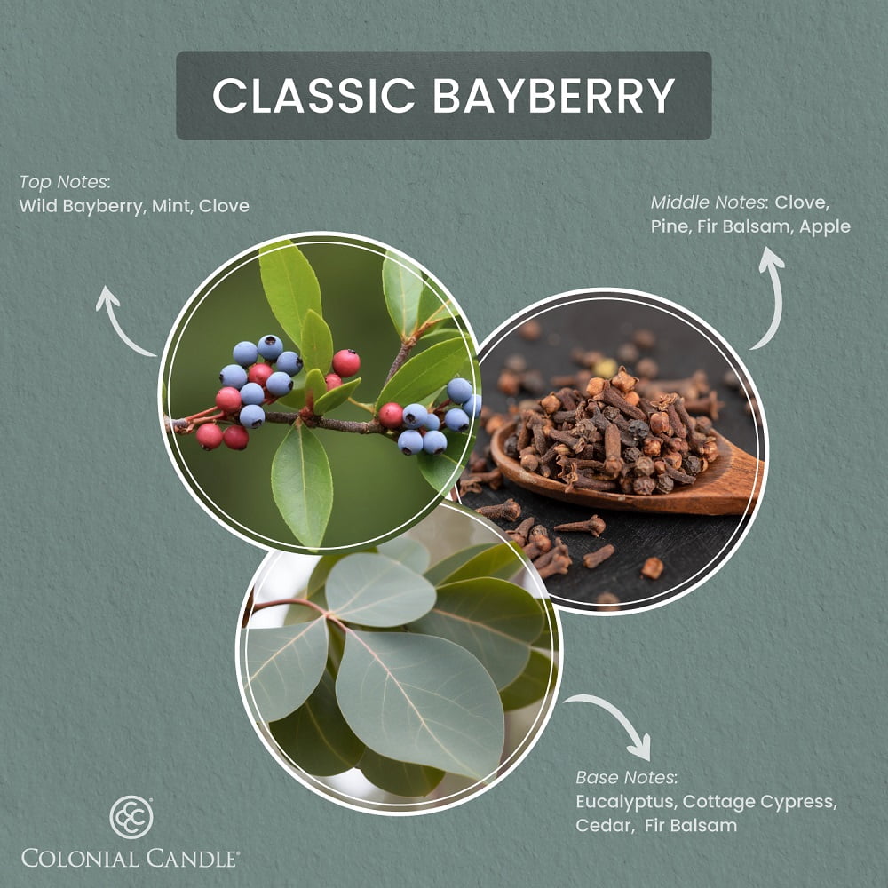 2.75oz Wax Melt Classic Bayberry